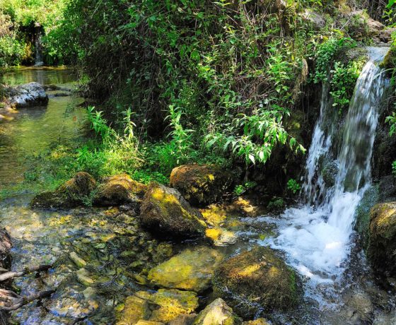 Nacimiento rio Vinalopó