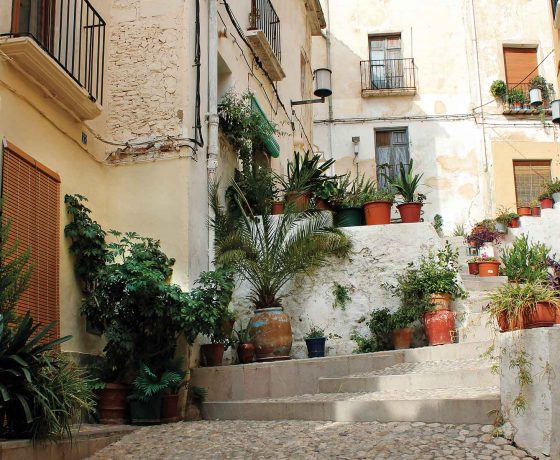 barrio medieval, calle con flores y escaleras