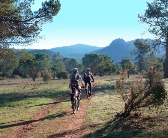 Ciclistas con BTT por la Sierra Mariola