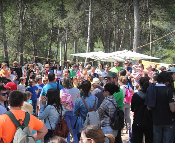 Cucañas de la fiesta de Sant Jaume