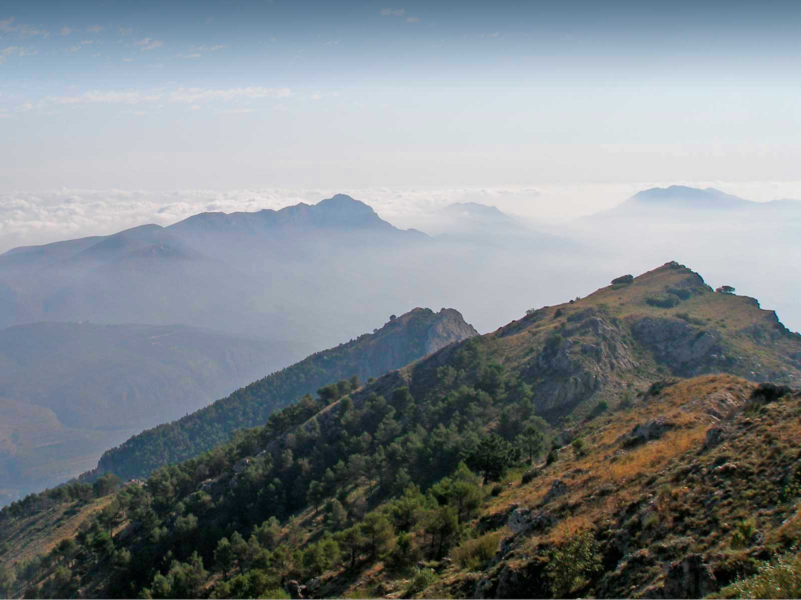 Vista desde las alturas de la Sierra Mariola y el pico del Montcabrer